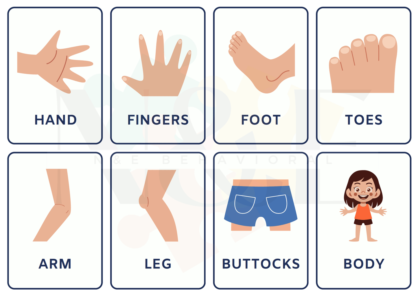 Body Parts Flashcards - N&E Behavioral