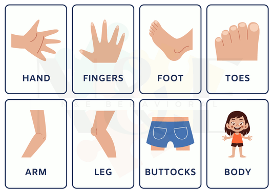 Body Parts Flashcards - N&E Behavioral