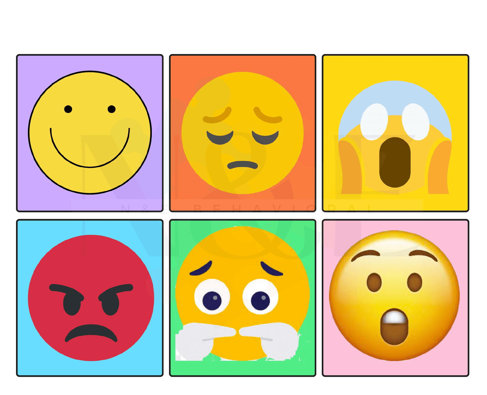 Emotion Matching - N&E Behavioral