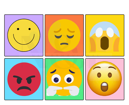Emotion Matching - N&E Behavioral