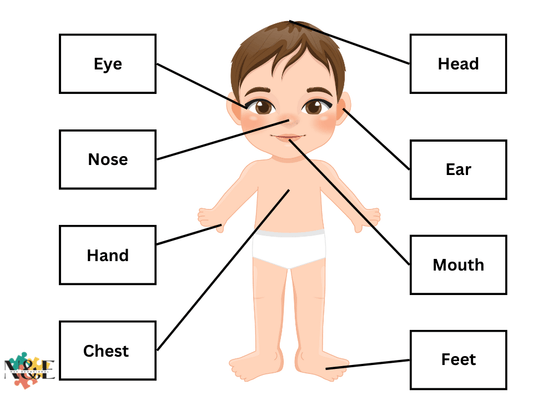 Understanding your Body Velcro - N&E Behavioral