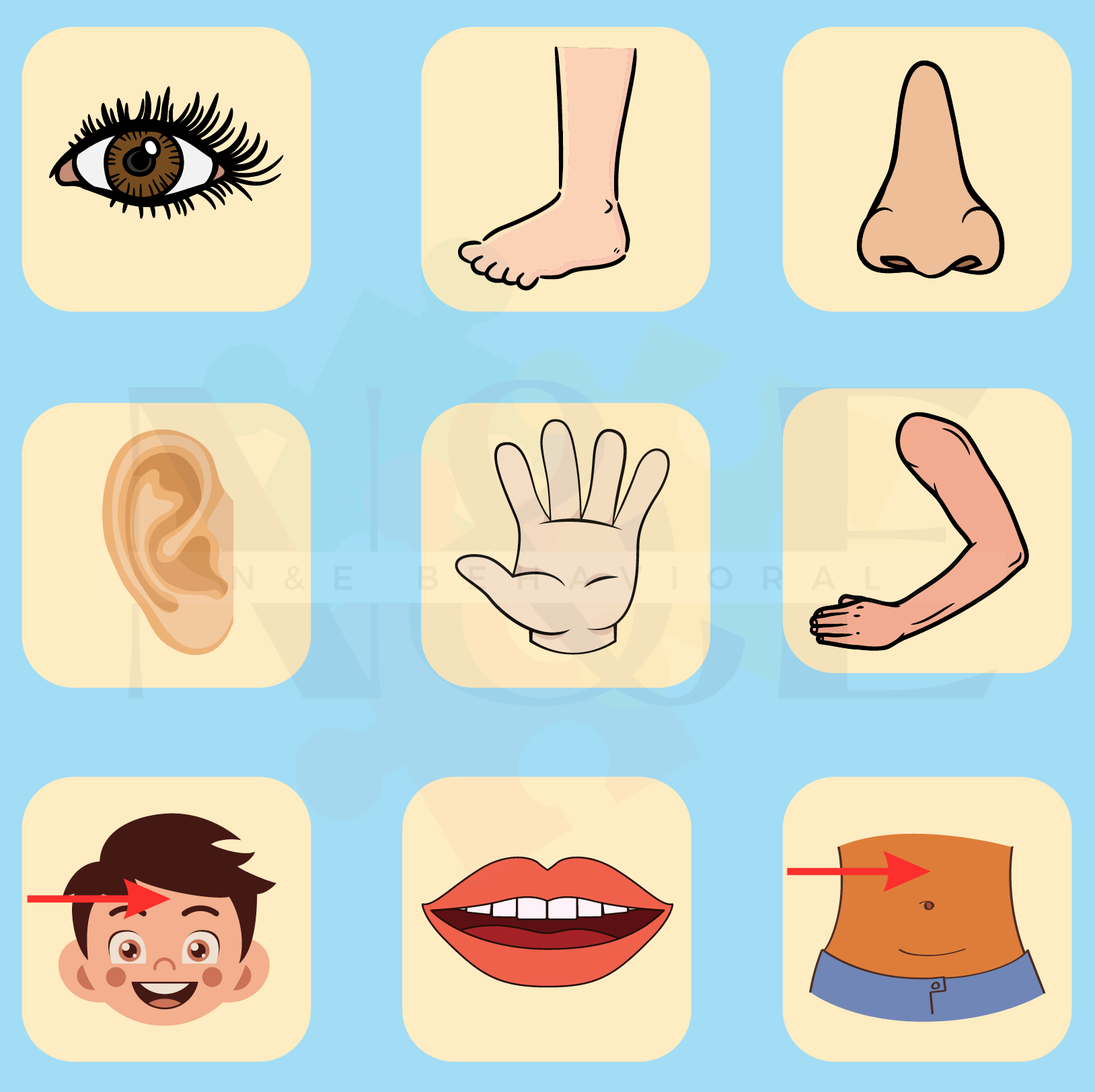 What Hurts? - N&E Behavioral