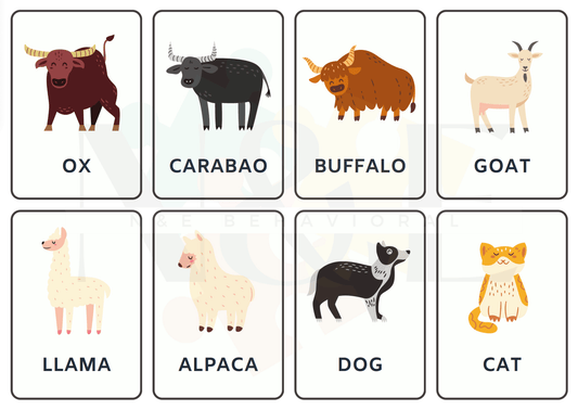 Animal Flashcards - N&E Behavioral