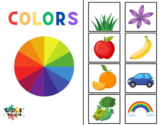 Color Velcro Book - N&E Behavioral
