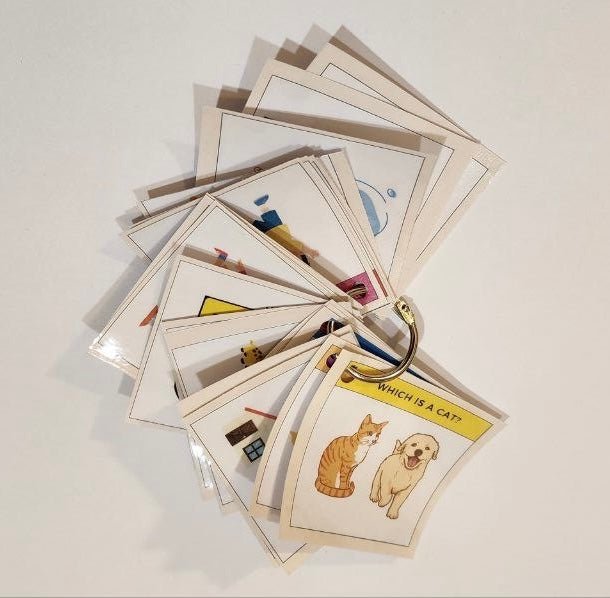 Flash Cards Key Questions Question Flashcards – N&E Behavioral